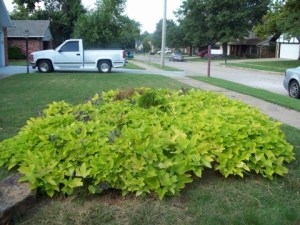 2323232327ffp432493enu3d32493e6823e6353ewsnrcg3d32333a63b83b3779nu0mrj