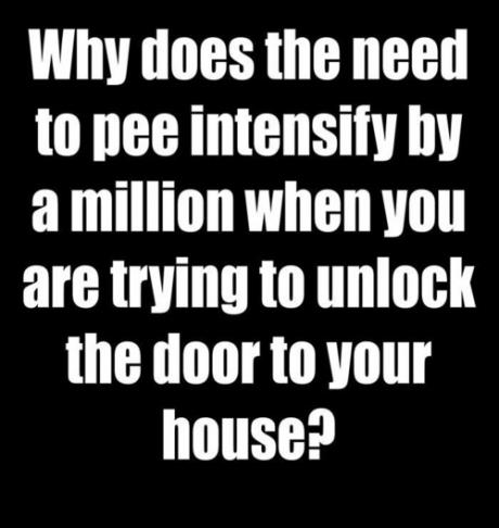 24651_550868788290960_1357031499_n