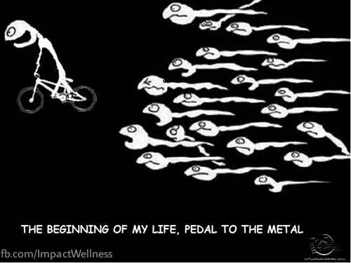 Two-Wheel Tuesday: Pedal to the metal