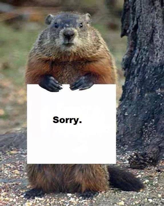 Stupid Groundhog