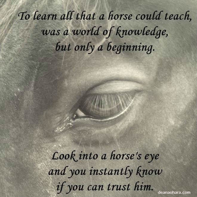 trust a horse