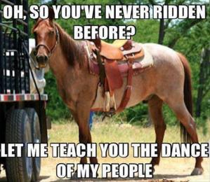 funny-horse-pictures-captions