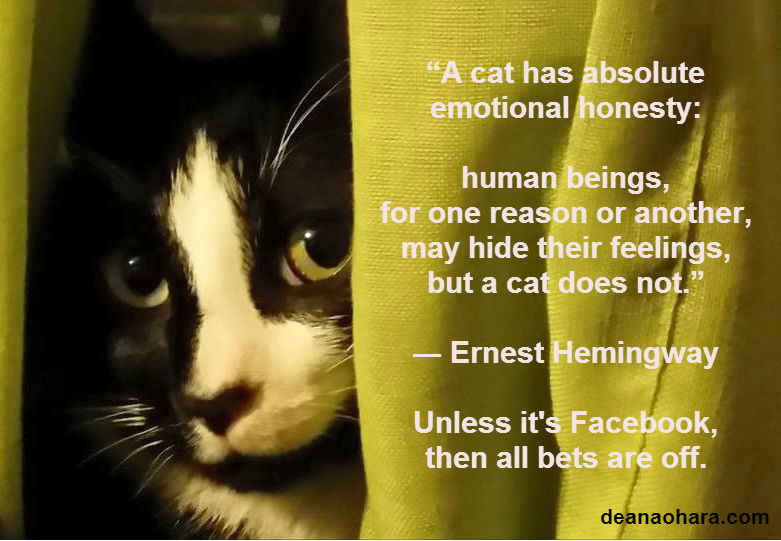 unless it's facebook